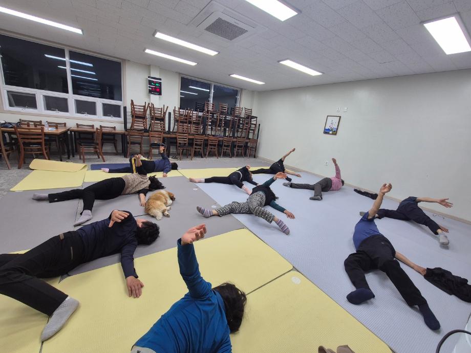 2025년 상반기 탄천면 "마을요가" 이미지