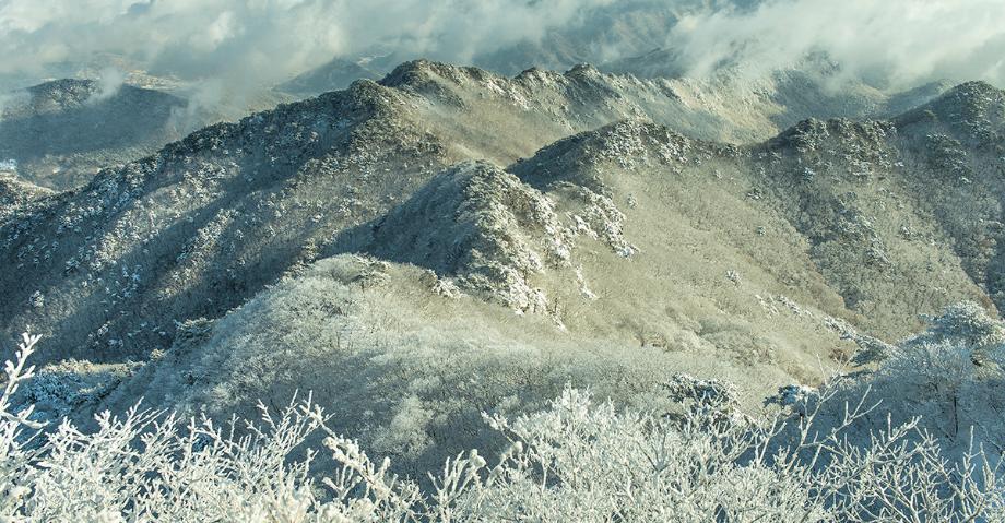 계룡산 - 계룡산의 겨울 이미지