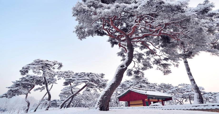 고마나루 - 고마나루의 겨울 이미지