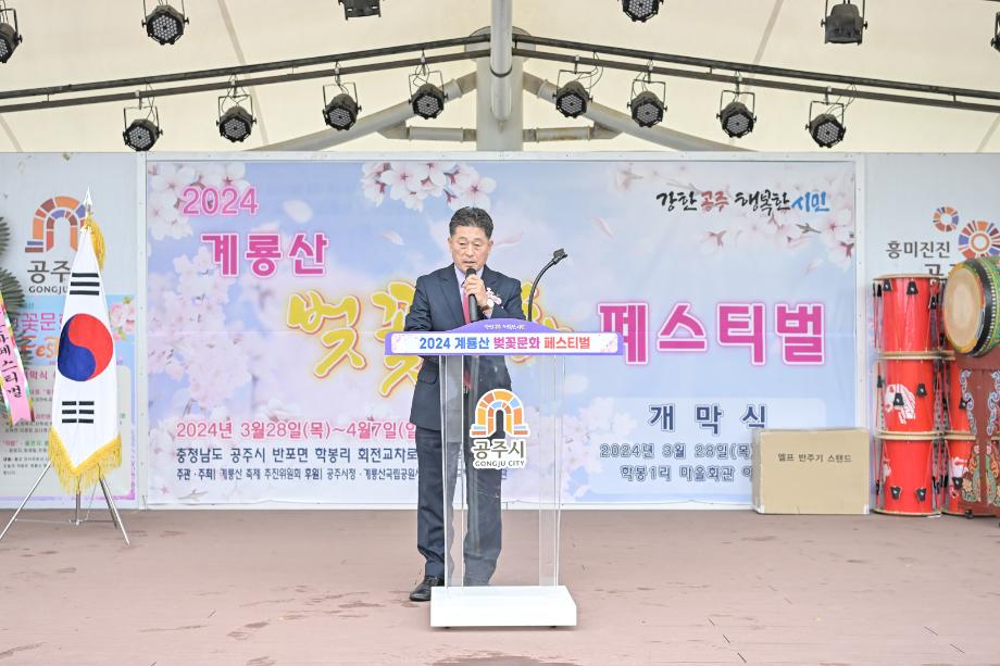 2024년 3월 28일 계룡산 벚꽃 문화 페스티벌 개막식 이미지